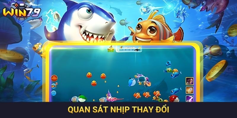 Quan sát nhịp thay đổi