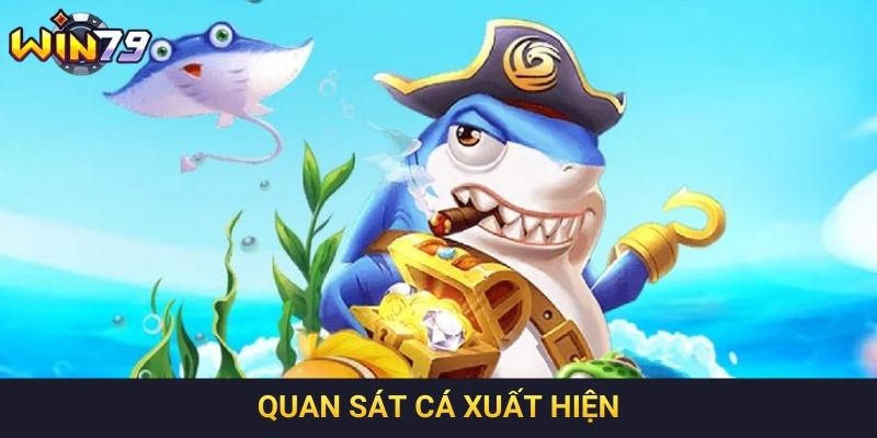 Quan sát cá xuất hiện