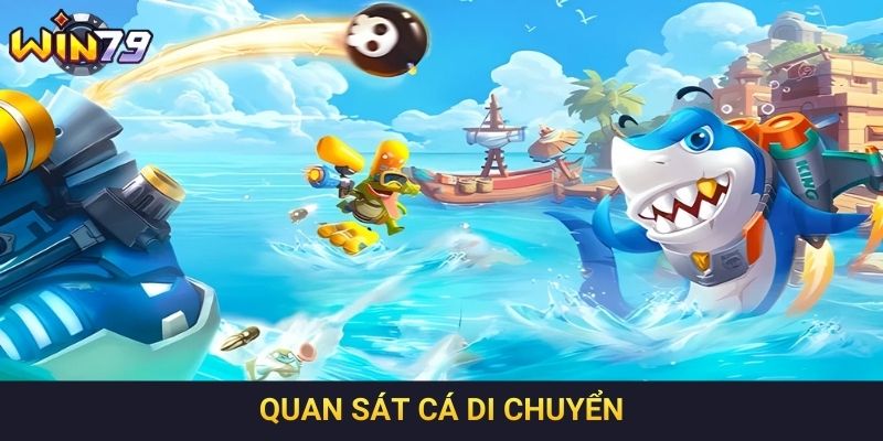 Quan sát cá di chuyển