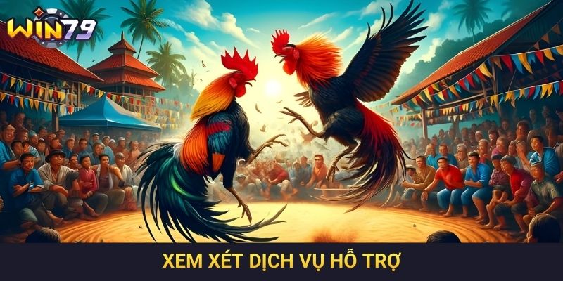 Xem xét dịch vụ hỗ trợ