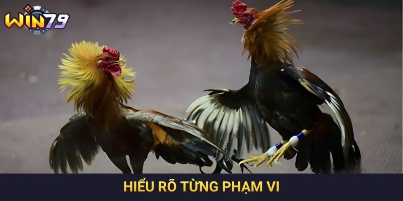 Hiểu rõ từng phạm vi