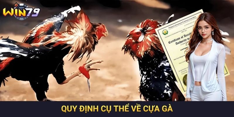 Quy định cụ thể về cựa gà