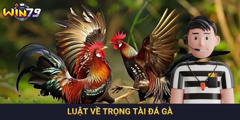 Luật về trọng tài đá gà